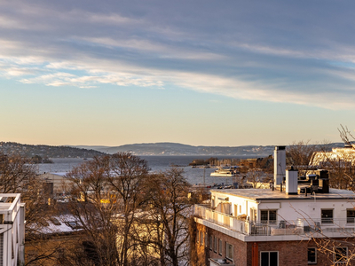 FROGNER | Unik toppleilighet over to plan med stor takterrasse og fantastisk utsikt. Flotte detaljer og generøs takhøyde